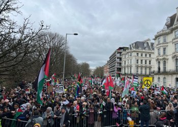 International Day of Solidarity with Gaza Sparks Global Movement