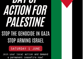 June 1 & 2 Days of Action for Palestine: Stop the Genocide in Gaza, Stop Arming Israel