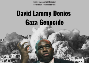Statement on UK Foreign Secretary David Lammy’s Comments on Gaza
