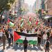 National March for Palestine-Coaches